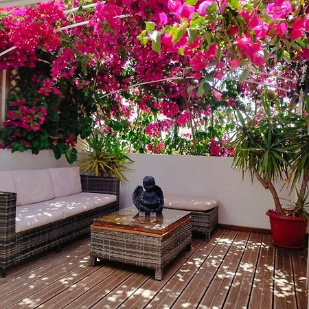 奥良Casa Da Avo By Ammonite&Co别墅 外观 照片